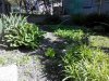 IMG_20140505_110957.jpg