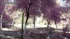 Frame 2013.05.23 12-46-08 (0-00-00.000)_.jpg