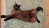 38414_017.jpg